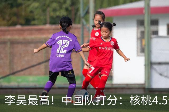 李昊最高！中国队打分：核桃4.5分，毛伟杰放左路会更好！4将刚及格
